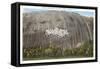 Stone Mountain, Atlanta, Georgia-null-Framed Stretched Canvas