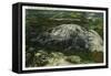 Stone Mountain, Georgia - Aerial View of the Mountain-Lantern Press-Framed Stretched Canvas