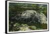 Stone Mountain, Georgia - Aerial View of the Mountain-Lantern Press-Framed Stretched Canvas