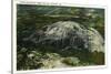 Stone Mountain, Georgia - Aerial View of the Mountain-Lantern Press-Stretched Canvas