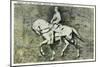 Stone Mountain, Georgia - General Lee and His Horse Traveler-Lantern Press-Mounted Art Print