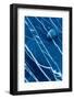 Stone on rock pattern, Kilve beach, Somerset, UK-Ross Hoddinott-Framed Photographic Print