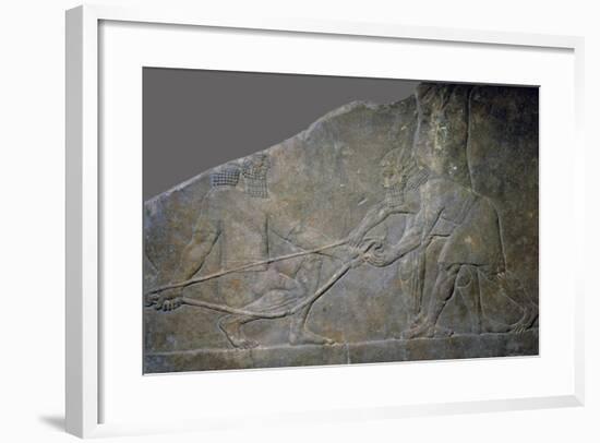 Stone panel from the North Palace of Ashurbanipal, Nineveh, northern Iraq, Neo-Assyrian, c645 BC-Unknown-Framed Giclee Print