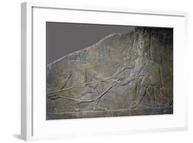Stone panel from the North Palace of Ashurbanipal, Nineveh, northern Iraq, Neo-Assyrian, c645 BC-Unknown-Framed Giclee Print