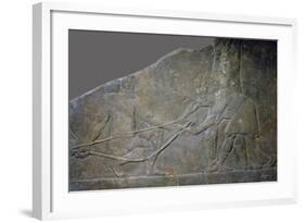 Stone panel from the North Palace of Ashurbanipal, Nineveh, northern Iraq, Neo-Assyrian, c645 BC-Unknown-Framed Giclee Print