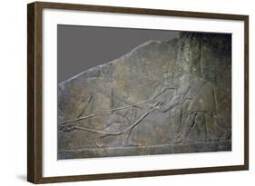 Stone panel from the North Palace of Ashurbanipal, Nineveh, northern Iraq, Neo-Assyrian, c645 BC-Unknown-Framed Giclee Print