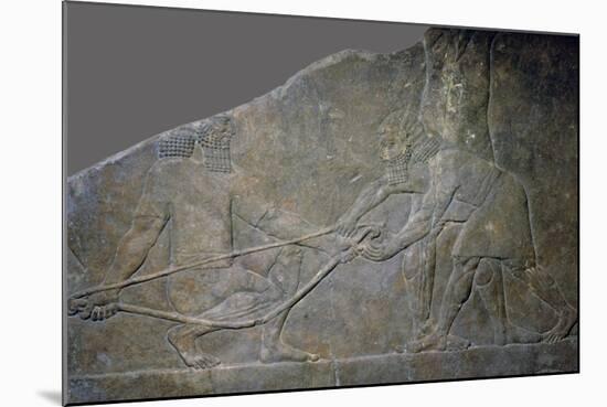 Stone panel from the North Palace of Ashurbanipal, Nineveh, northern Iraq, Neo-Assyrian, c645 BC-Unknown-Mounted Giclee Print