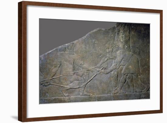 Stone panel from the North Palace of Ashurbanipal, Nineveh, northern Iraq, Neo-Assyrian, c645 BC-Unknown-Framed Giclee Print