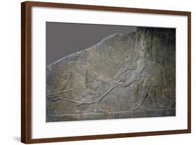 Stone panel from the North Palace of Ashurbanipal, Nineveh, northern Iraq, Neo-Assyrian, c645 BC-Unknown-Framed Giclee Print