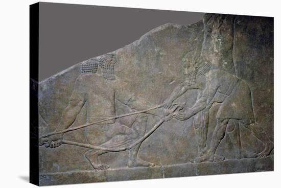 Stone panel from the North Palace of Ashurbanipal, Nineveh, northern Iraq, Neo-Assyrian, c645 BC-Unknown-Stretched Canvas