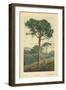 Stone Pine-William Henry James Boot-Framed Giclee Print