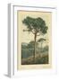 Stone Pine-William Henry James Boot-Framed Giclee Print