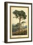 Stone Pine-W.h.j. Boot-Framed Art Print