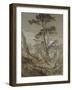 Stone Pines at Sestri-John Ruskin-Framed Giclee Print