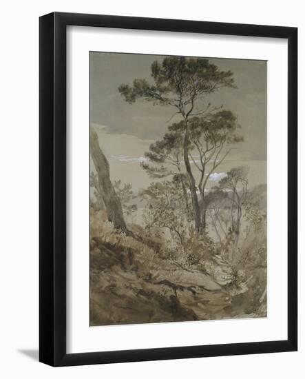 Stone Pines at Sestri-John Ruskin-Framed Giclee Print