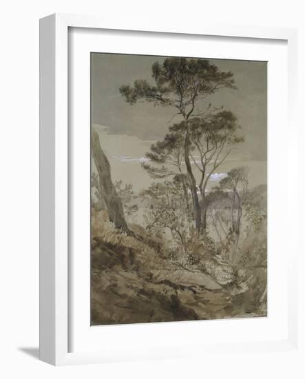 Stone Pines at Sestri-John Ruskin-Framed Giclee Print