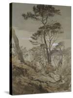 Stone Pines at Sestri-John Ruskin-Stretched Canvas