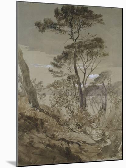 Stone Pines at Sestri-John Ruskin-Mounted Giclee Print