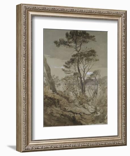 Stone Pines at Sestri-John Ruskin-Framed Giclee Print