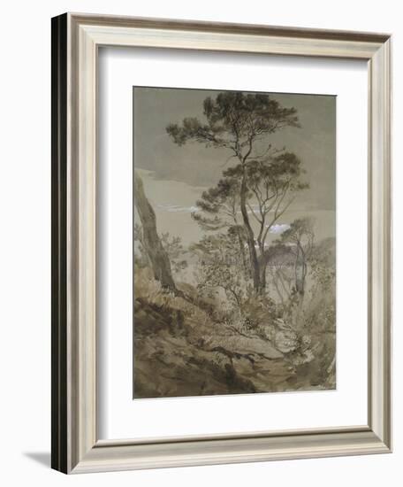 Stone Pines at Sestri-John Ruskin-Framed Giclee Print