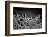 Stone Planet Surface Black and White-xbrchx-Framed Photographic Print