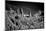 Stone Planet Surface Black and White-xbrchx-Mounted Photographic Print