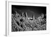 Stone Planet Surface Black and White-xbrchx-Framed Photographic Print