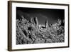 Stone Planet Surface Black and White-xbrchx-Framed Photographic Print