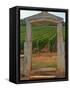 Stone Portico to the Vineyard Chevalier-Montrachet, Chartron Dupard, France-Per Karlsson-Framed Stretched Canvas