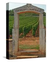 Stone Portico to the Vineyard Chevalier-Montrachet, Chartron Dupard, France-Per Karlsson-Stretched Canvas