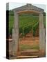 Stone Portico to the Vineyard Chevalier-Montrachet, Chartron Dupard, France-Per Karlsson-Stretched Canvas