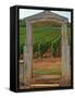 Stone Portico to the Vineyard Chevalier-Montrachet, Chartron Dupard, France-Per Karlsson-Framed Stretched Canvas