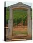 Stone Portico to the Vineyard Chevalier-Montrachet, Chartron Dupard, France-Per Karlsson-Stretched Canvas