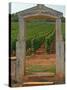 Stone Portico to the Vineyard Chevalier-Montrachet, Chartron Dupard, France-Per Karlsson-Stretched Canvas