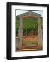 Stone Portico to the Vineyard Chevalier-Montrachet, Chartron Dupard, France-Per Karlsson-Framed Premium Photographic Print