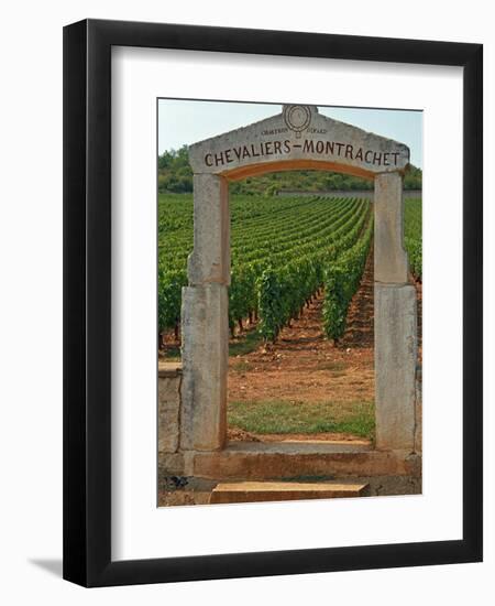 Stone Portico to the Vineyard Chevalier-Montrachet, Chartron Dupard, France-Per Karlsson-Framed Premium Photographic Print