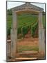 Stone Portico to the Vineyard Chevalier-Montrachet, Chartron Dupard, France-Per Karlsson-Mounted Premium Photographic Print