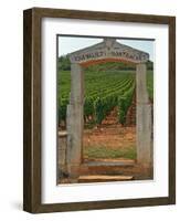 Stone Portico to the Vineyard Chevalier-Montrachet, Chartron Dupard, France-Per Karlsson-Framed Photographic Print