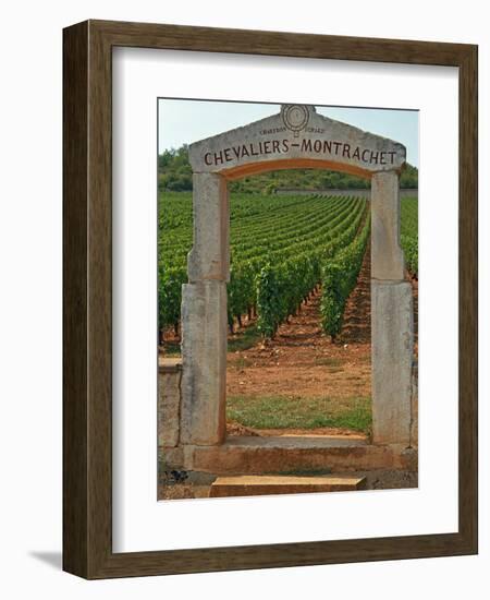 Stone Portico to the Vineyard Chevalier-Montrachet, Chartron Dupard, France-Per Karlsson-Framed Photographic Print