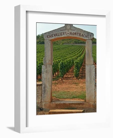 Stone Portico to the Vineyard Chevalier-Montrachet, Chartron Dupard, France-Per Karlsson-Framed Photographic Print