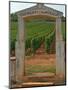 Stone Portico to the Vineyard Chevalier-Montrachet, Chartron Dupard, France-Per Karlsson-Mounted Photographic Print