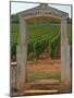 Stone Portico to the Vineyard Chevalier-Montrachet, Chartron Dupard, France-Per Karlsson-Mounted Photographic Print