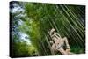 Stone Qi Ling Statue, a Mythical Lion, at Yunqi Bamboo Forest in Hangzhou, Zhejiang, China, Asia-Andreas Brandl-Stretched Canvas