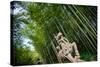 Stone Qi Ling Statue, a Mythical Lion, at Yunqi Bamboo Forest in Hangzhou, Zhejiang, China, Asia-Andreas Brandl-Stretched Canvas