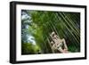 Stone Qi Ling Statue, a Mythical Lion, at Yunqi Bamboo Forest in Hangzhou, Zhejiang, China, Asia-Andreas Brandl-Framed Photographic Print