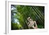 Stone Qi Ling Statue, a Mythical Lion, at Yunqi Bamboo Forest in Hangzhou, Zhejiang, China, Asia-Andreas Brandl-Framed Photographic Print