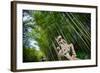 Stone Qi Ling Statue, a Mythical Lion, at Yunqi Bamboo Forest in Hangzhou, Zhejiang, China, Asia-Andreas Brandl-Framed Photographic Print