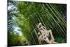 Stone Qi Ling Statue, a Mythical Lion, at Yunqi Bamboo Forest in Hangzhou, Zhejiang, China, Asia-Andreas Brandl-Mounted Photographic Print