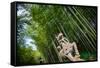 Stone Qi Ling Statue, a Mythical Lion, at Yunqi Bamboo Forest in Hangzhou, Zhejiang, China, Asia-Andreas Brandl-Framed Stretched Canvas