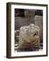 Stone Relief Depicting Lion, Roman Temple of Jupiter-null-Framed Giclee Print